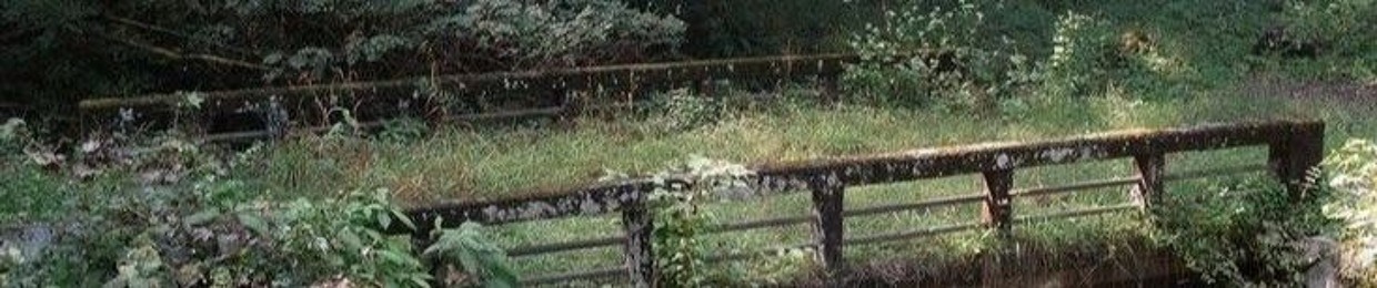 ࣪ ִֶָ☾. 𝕄𝕠𝕤𝕤 ࣪ ִֶָ☾.