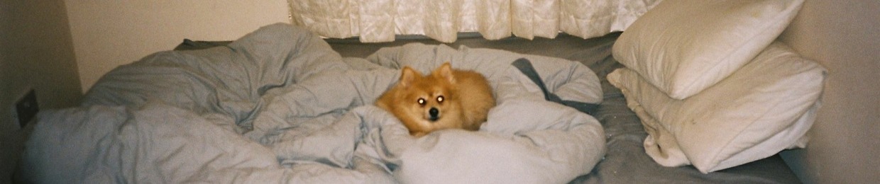 Lucas