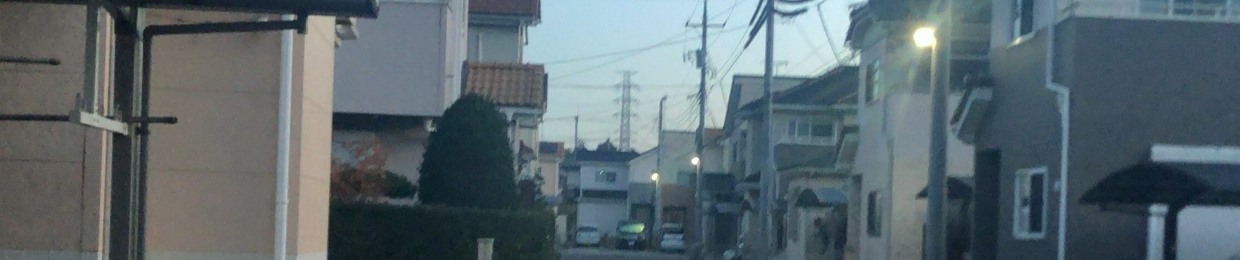 園田デストラクション