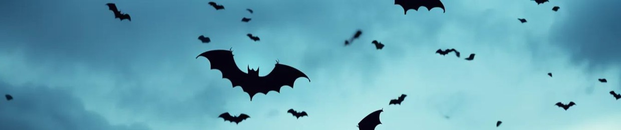 Kiddie24 (@kiddietwentyfour)