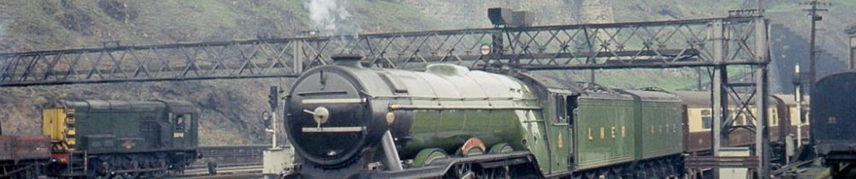 WhimpyMCConductor511