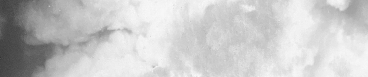 Marleen Van Leemput (Marli Mosa)