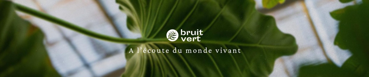 Bruit vert