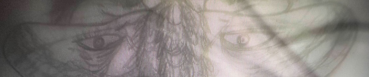 ghost