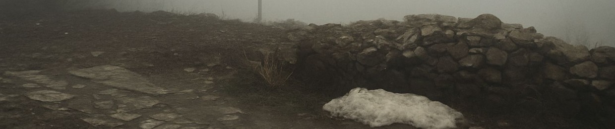 mahtab haghighattalab