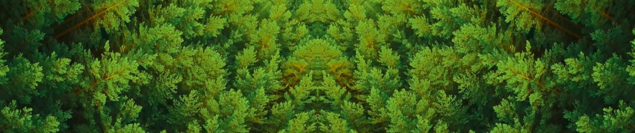 ECSTRA'S OF EDEN
