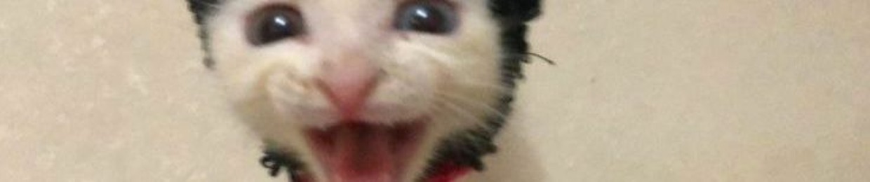 Eeces