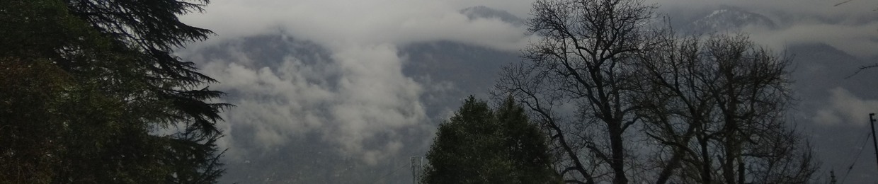 TrIp Hostel Manali