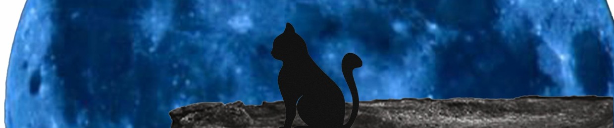 Moon Cat