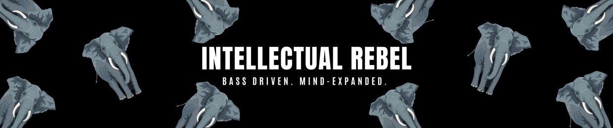 Intellectual Rebel