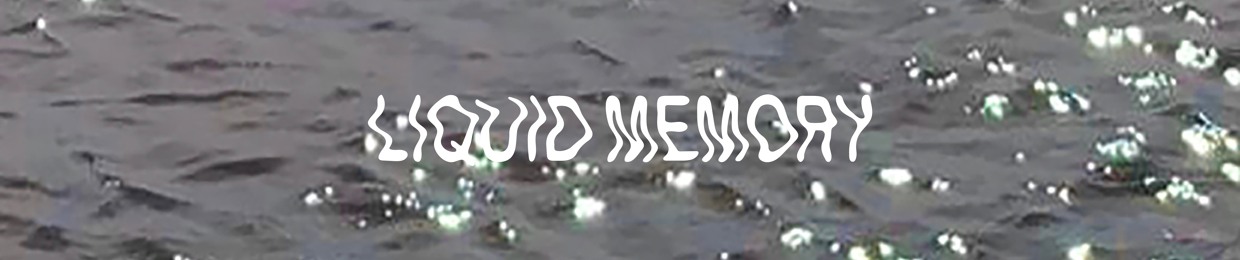 Liquid Memory