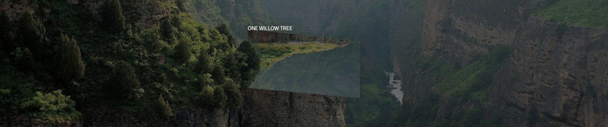 One Willow Tree