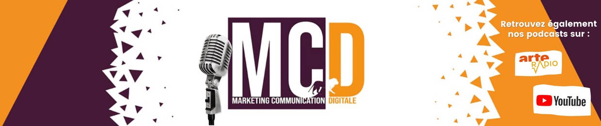 Licence Marketing Digital Lyon 3