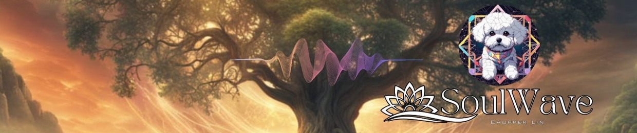 Chopper Lin SoulWave