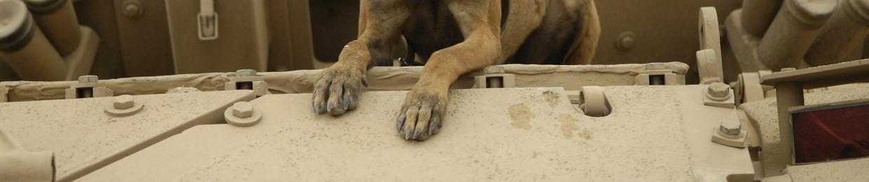 Sergeant Bones