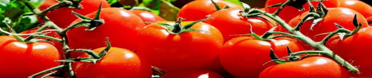 tomato !!