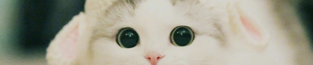 temmeh