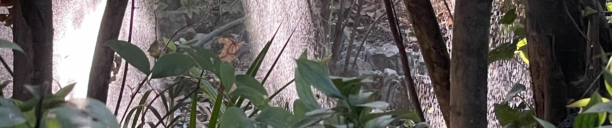 FluxDaemon