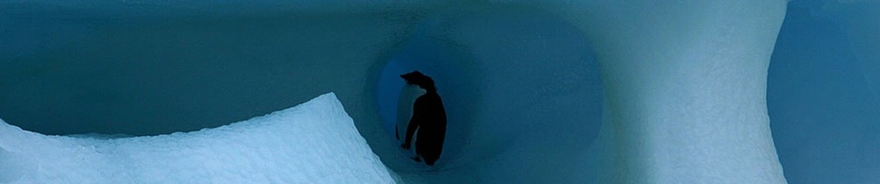 The Penguin Underground