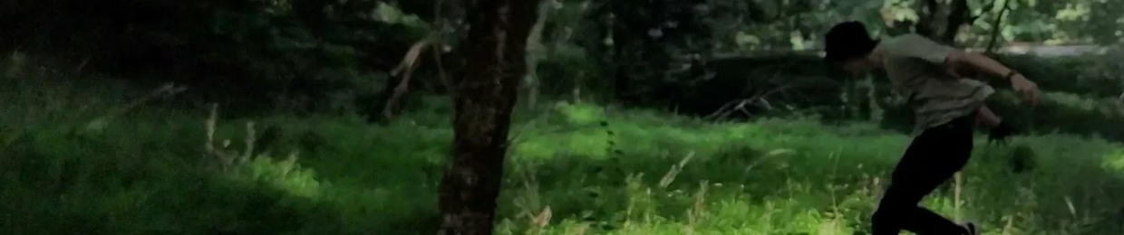 MstaBeaver