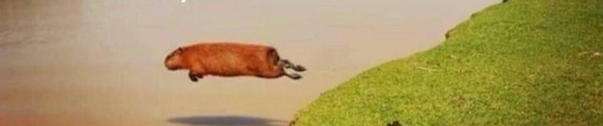 ⁱᵗˢ ᵗʰᵉ ʷᵃᵗᵉʳ!