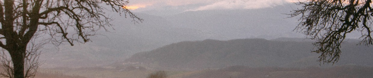 AlberiNoi
