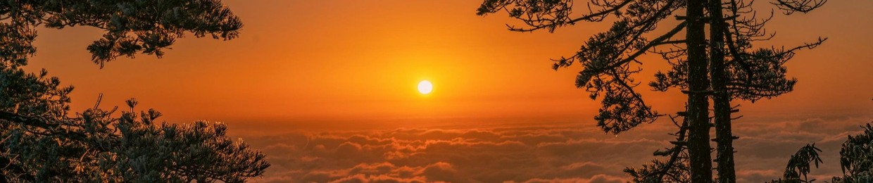 Đỗ Hữu Ngọc Tâm