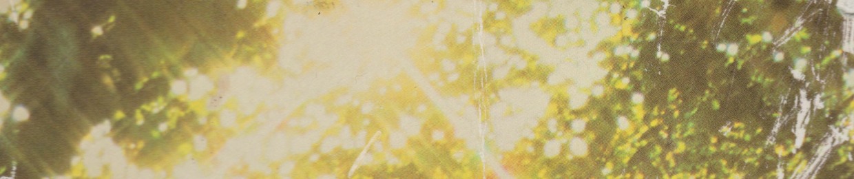 The Hydrogen Trees