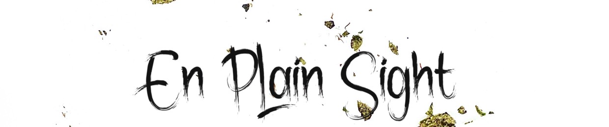 Enplain Sight