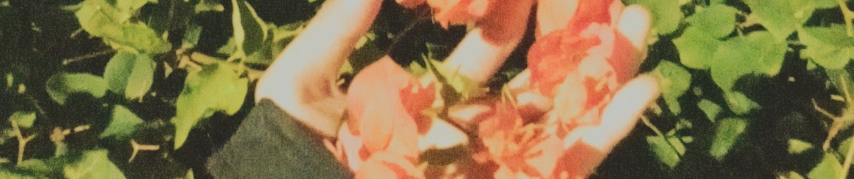 nzff