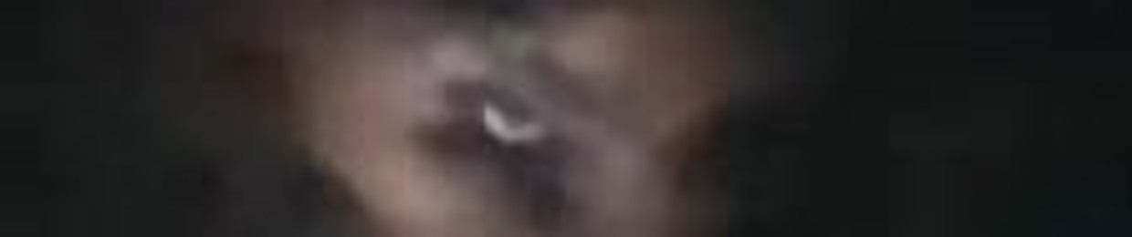 Sagglxrd