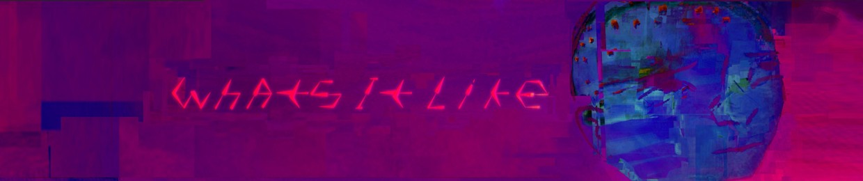 WhatsItLike