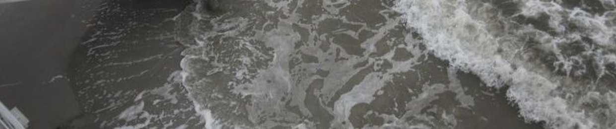 sintosuafalta392