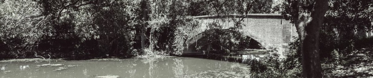 Grayscale Gardens