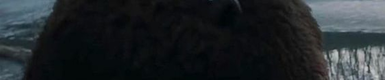 A B ✪