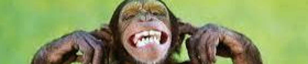 monke