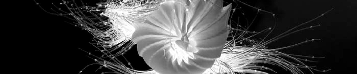 Introdeucer