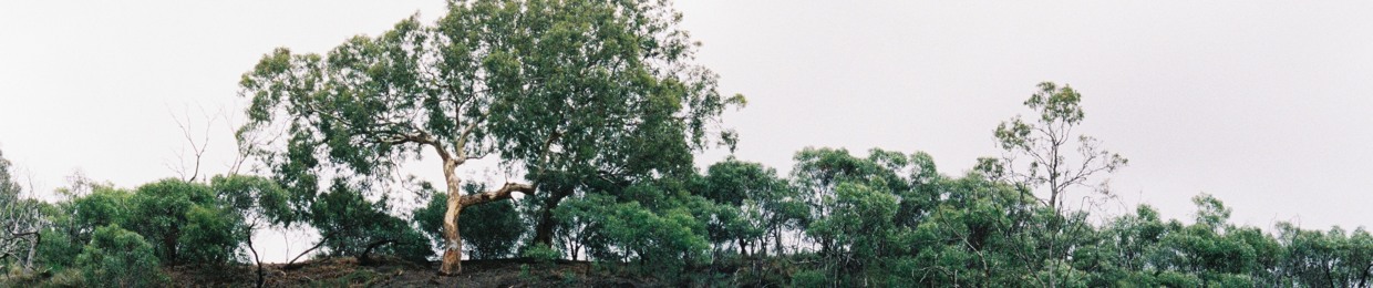 Y.os