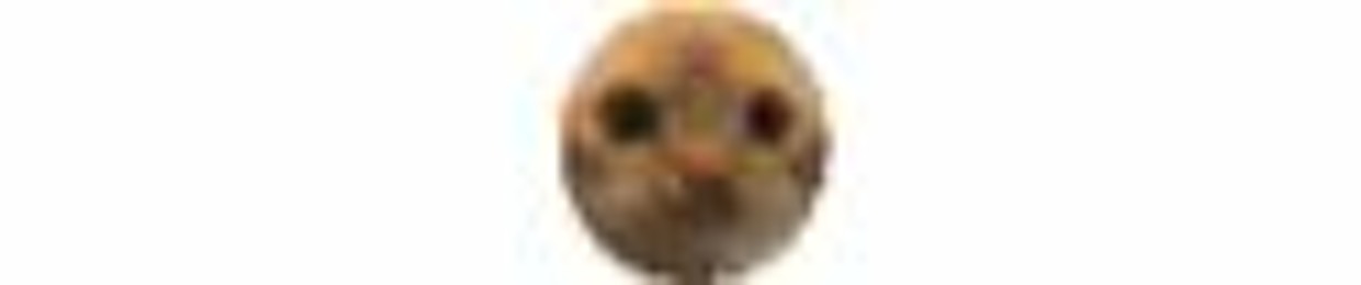 Mr. Papu