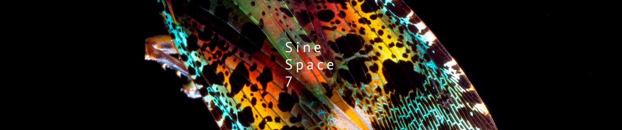 Sine Space 7
