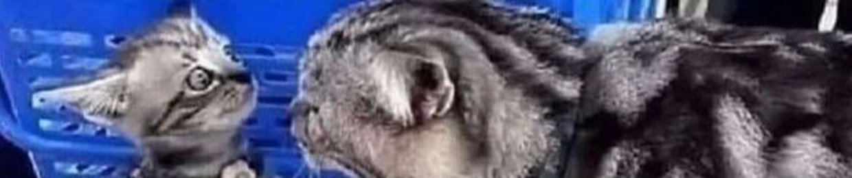 vitski
