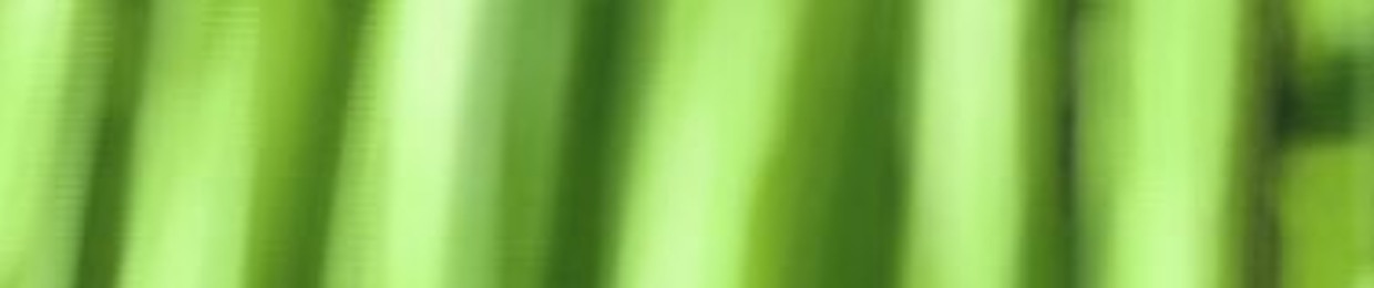 Celery