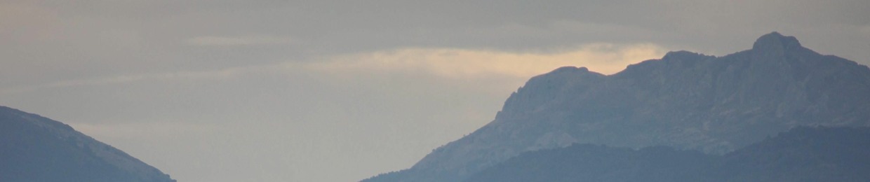 osobenalua