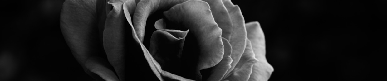 BLACKROSE