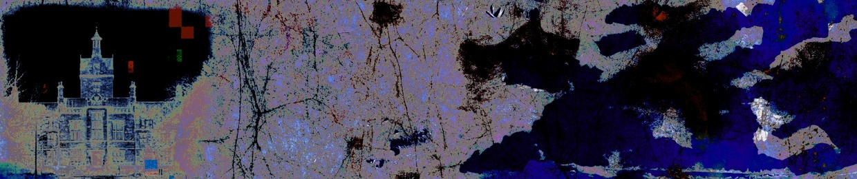 DIGITAL ASYLUM