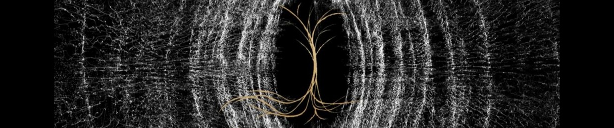 Venaeform Records