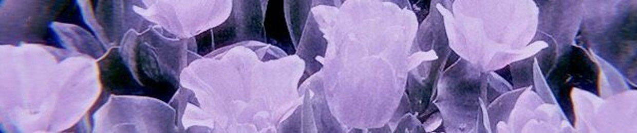 : cɑnᖱчᖲlᥙᥱ ៹