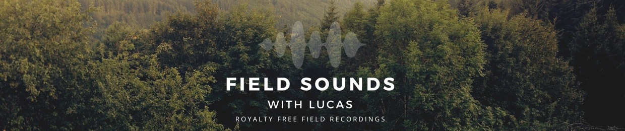 Field Sounds With Lucas