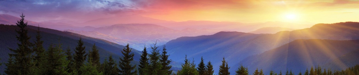 Fifty Years On Project