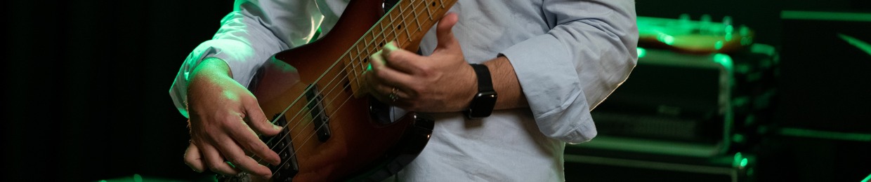 Stefano Fanini (Bass Player)